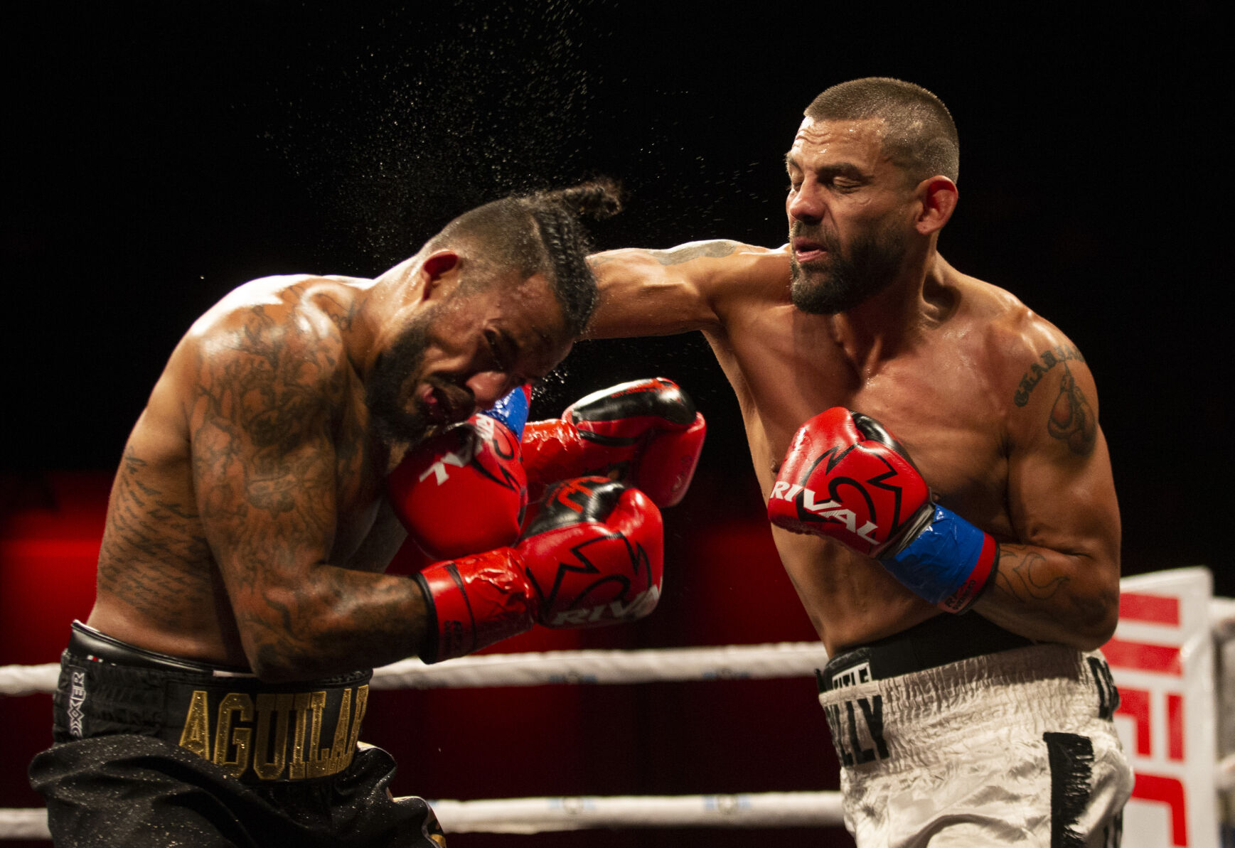 Roy Jones Championship Boxing